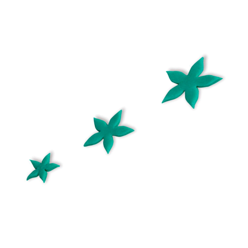 PAVONI STAR FLOWER CUTTER SET