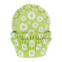 "HOUSE OF MARIE" SET CUPCAKE CAPSULES - DAISIES