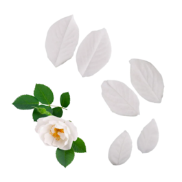SILICONE TEXTURIZER MOLD - ROSE LEAVES