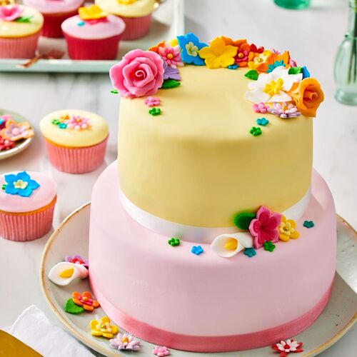 FUNCAKES FONDANT MULTIPACK - PINK SHADES (5 X 100 G)