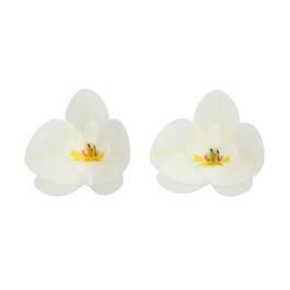 FUNCAKES EDIBLE PAPER FLOWERS - MEDIUM WHITE ORCHID