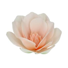 FUNCAKES EDIBLE PAPER FLOWERS - LARGE WHITE MAGNOLIA