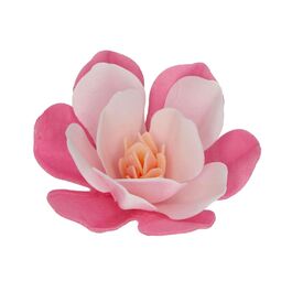 FUNCAKES EDIBLE PAPER FLOWERS - LARGE PINK MAGNOLIA