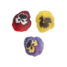 FUNCAKES EDIBLE PAPER FLOWERS - SMALL PANSY MIX