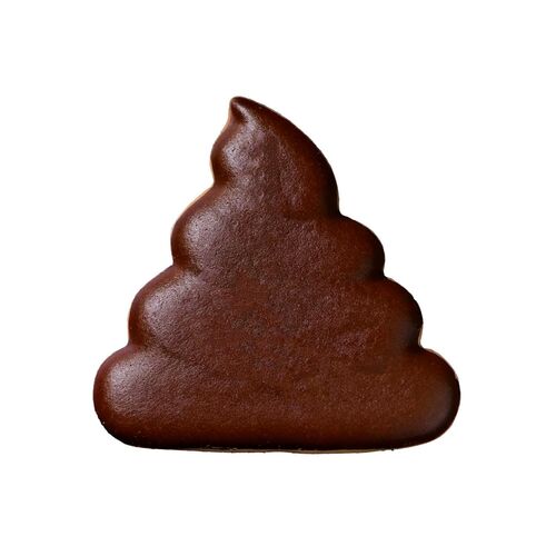 WILTON STAINLESS STEEL COOKIE CUTTER - POOP